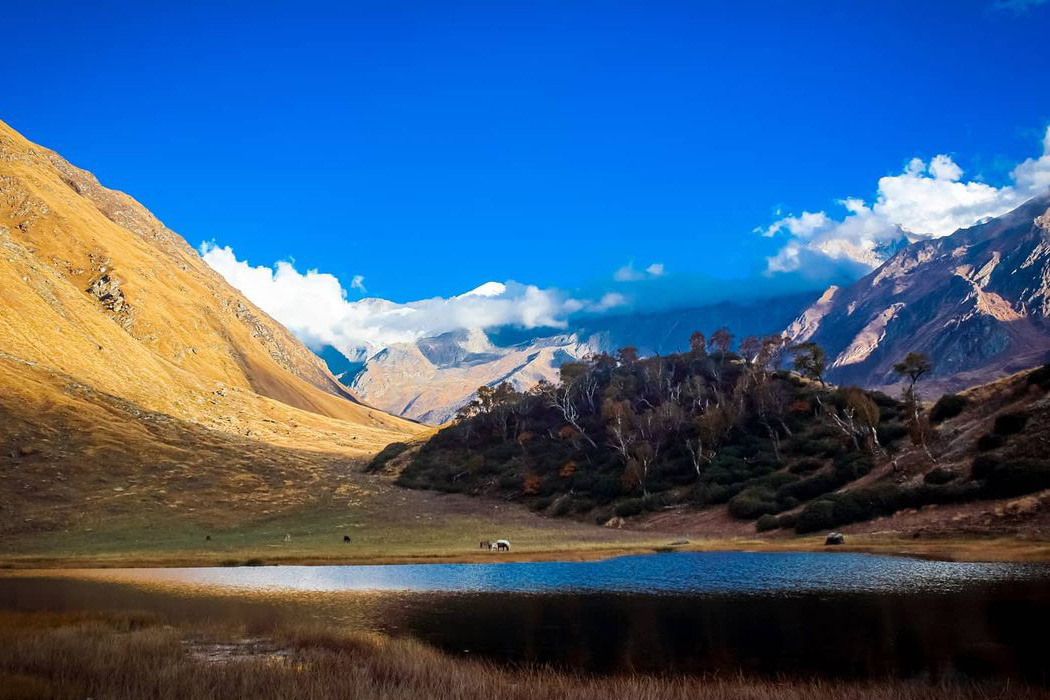 Uttarakhand